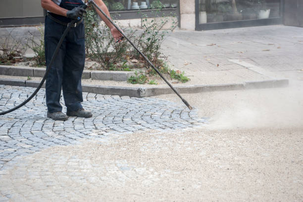 Best Pre-Holiday Cleaning  in Rochester Institute Of Technology, NY