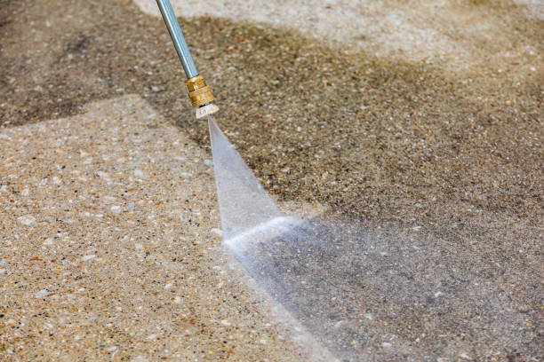 Best Animal Enclosure Cleaning  in Rochester Institute Of Technology, NY